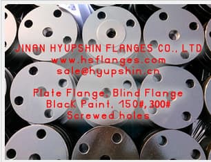 ANSI B16_5 BLRF Flange_ CL150 Blind Flange_ Carbon Steel Flange_ CS Flange